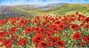 The Poppies field 1 (4.1k)